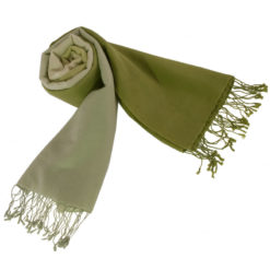 Shaded Pashmina - 70x200cm - 70%Cashmere / 30%Silk - Desert Sage and Mosstone