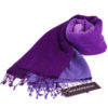 Shaded Pashmina - 70x200cm - 70% Cashmere / 30%Silk - Blackberry Cordial and Heron